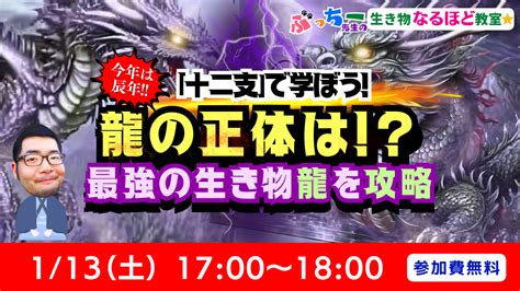 十二支 龍|【生き物の雑学】十二支でなぜ龍がいる？ 